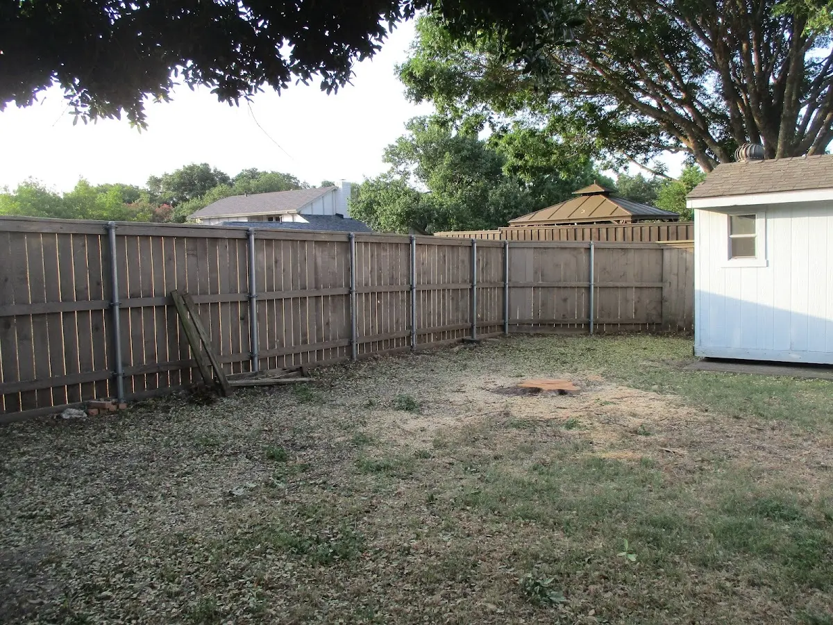 Cleared yard after professional tree removal in Mount Victoria